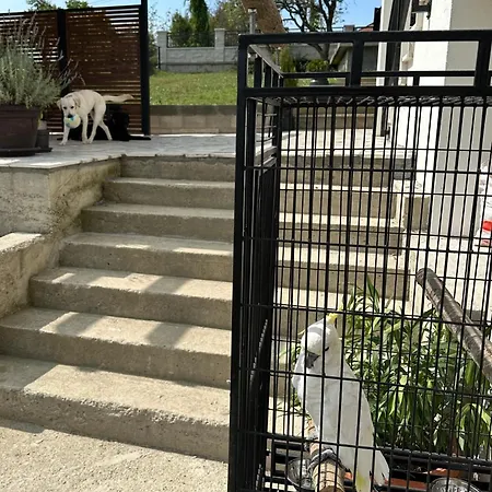 House Of Joy Barajevo * Bukorovac