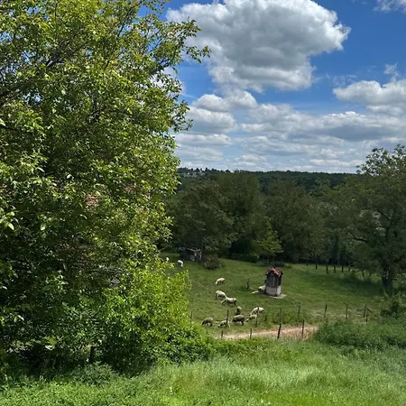 House Of Joy Barajevo Bukorovac