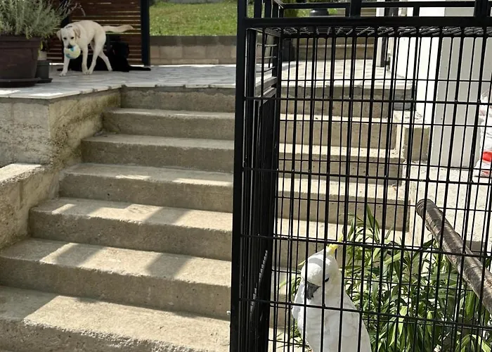 House Of Joy Barajevo * Bukorovac