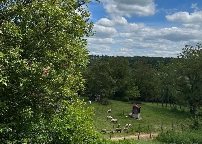 House Of Joy Barajevo Bukorovac